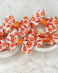Pumpkin Picking Mini Capri & Prinny Baby Bows