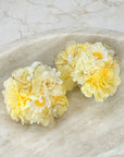 Daisy Blooming Flower Pigtail Set