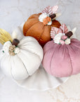 Velvet pumpkins
