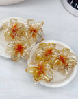 Maui Claw Clips