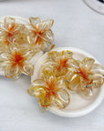Maui Claw Clips
