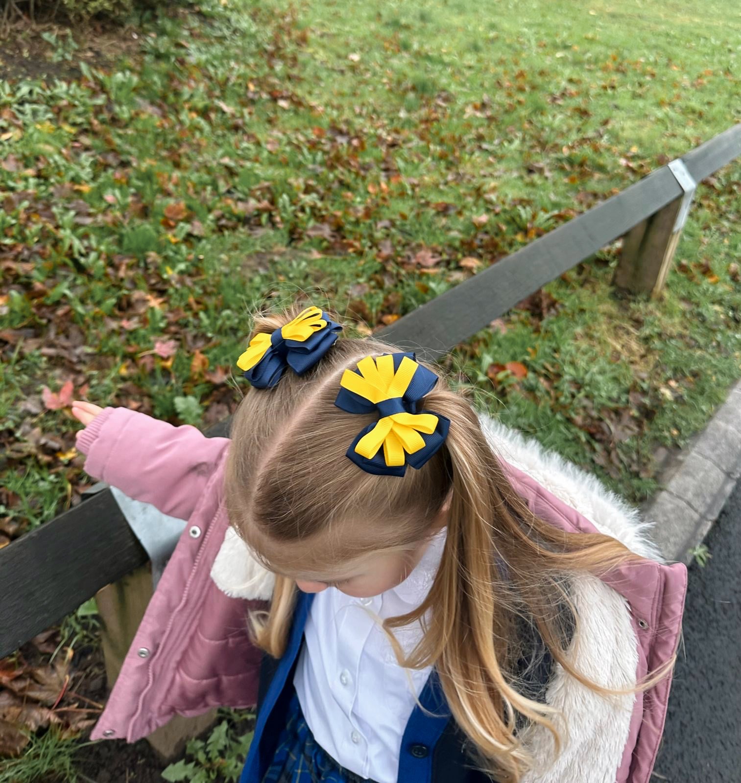 Two Toned Carrie School Bows